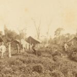 Sejarah Nueva Germania di Paraguay dan proyek Aryan yang gagal